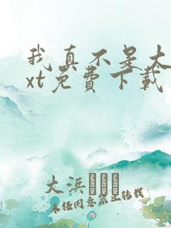 我真不是大佬txt免费下载