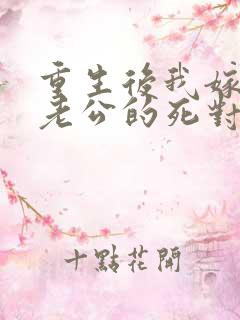 重生后我嫁给了老公的死对头 短剧