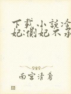 下载小说冷王盗妃:侧妃不承欢