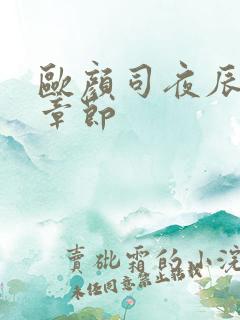 欧颜司夜辰最新章节