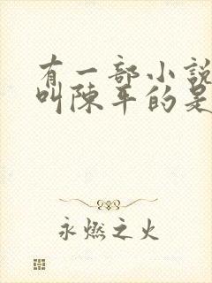 有一部小说主角叫陈平的是什么小说