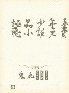 极品少年秦姨小飞小说免费阅读