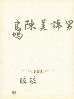 良陈美锦男主洁吗