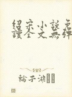 绍宋小说免费阅读全文无弹窗