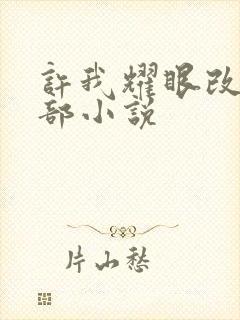 许我耀眼改编哪部小说