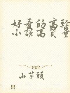 好看的高干言情小说高质量文笔好