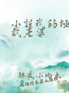 小说我的极品总裁老婆