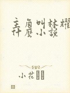 主角叫林耀的是什么小说