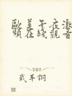 欧美午夜激情视频在线观看黑人