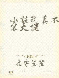 小说我真不是女装大佬