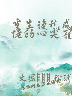 重生后我成了大佬的心尖宠 小说