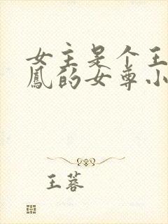女主是个王爷姓凤的女尊小说