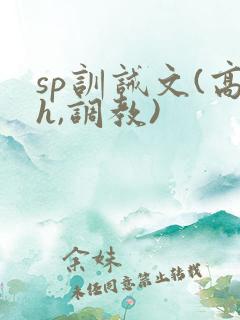 sp训诫文(高h,调教)