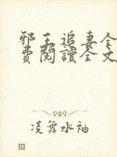 邪王追妻全文免费阅读全文