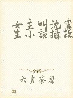 女主叫沈鸾的重生小说摄政王