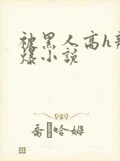 被黑人高h辣文爆小说