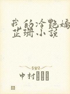 我的冷艳娇妻秦芷珊小说