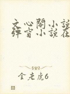 文心阁小说_无弹窗小说在线免费阅读