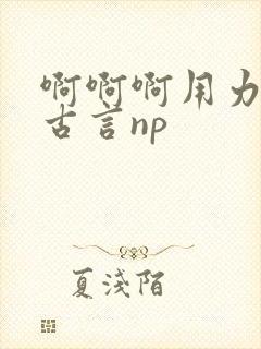 啊啊啊用力小说古言np