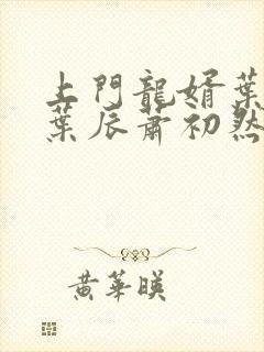 上门龙婿叶辰 叶辰萧初然最新