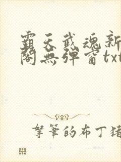 霸天武魂新笔趣阁无弹窗txt