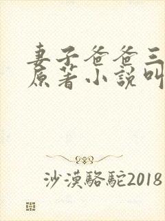 妻子爸爸三人行原著小说叫什么