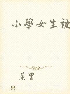 小学女生被绑架