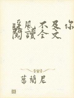 暖风不及你情深阅读全文