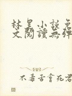 林昊小说免费全文阅读无弹窗