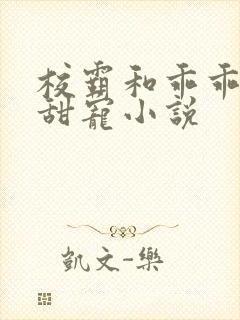 校霸和乖乖女的甜宠小说