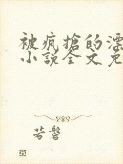 被疯抢的漂亮攻小说全文免费阅读无弹窗