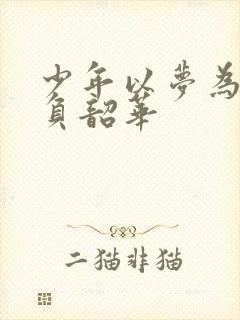 少年以梦为马不负韶华