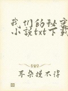 我们的秘密原著小说txt下载