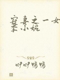 宠妻之一女二夫季小婉