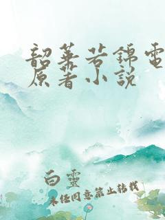 韶华若锦电视剧原著小说