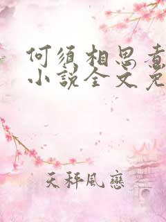 何须相思煮余年小说全文免费阅读