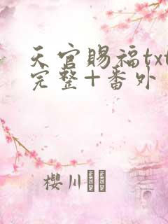 天官赐福txt完整+番外 txt下载