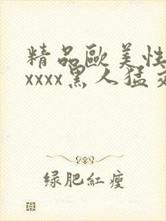 精品欧美性猛交xxxx黑人猛交