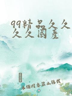 99精品久久久久久国产