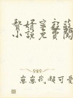 赘婿宁毅苏檀儿小说免费阅读