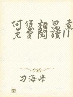 何须相思煮余年免费阅读11