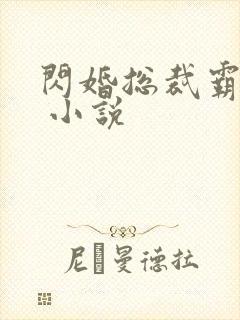 闪婚总裁霸道宠 小说