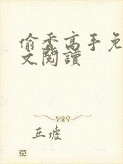 偷香高手免费全文阅读