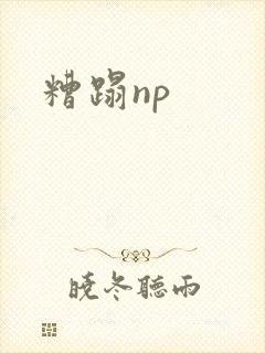 糟蹋np