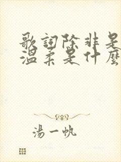 歌词除非是你的温柔是什么歌