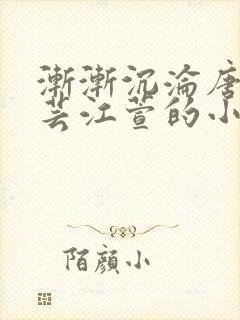 渐渐沉沦唐浪唐芸江萱的小说