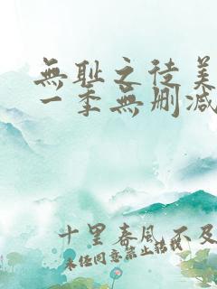 无耻之徒美版第一季无删减高清