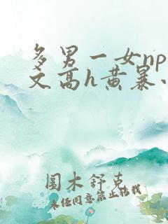 多男一女np辣文高h黄暴小说