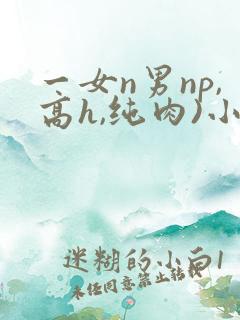 一女n男np,高h,纯肉)小说