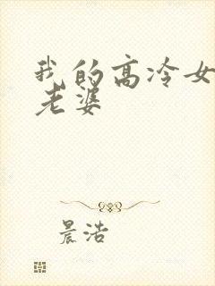 我的高冷女总裁老婆